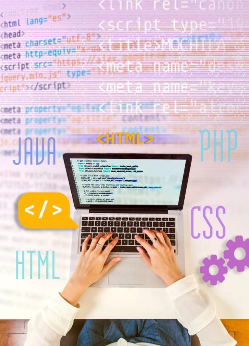 edu-web-design-web-development